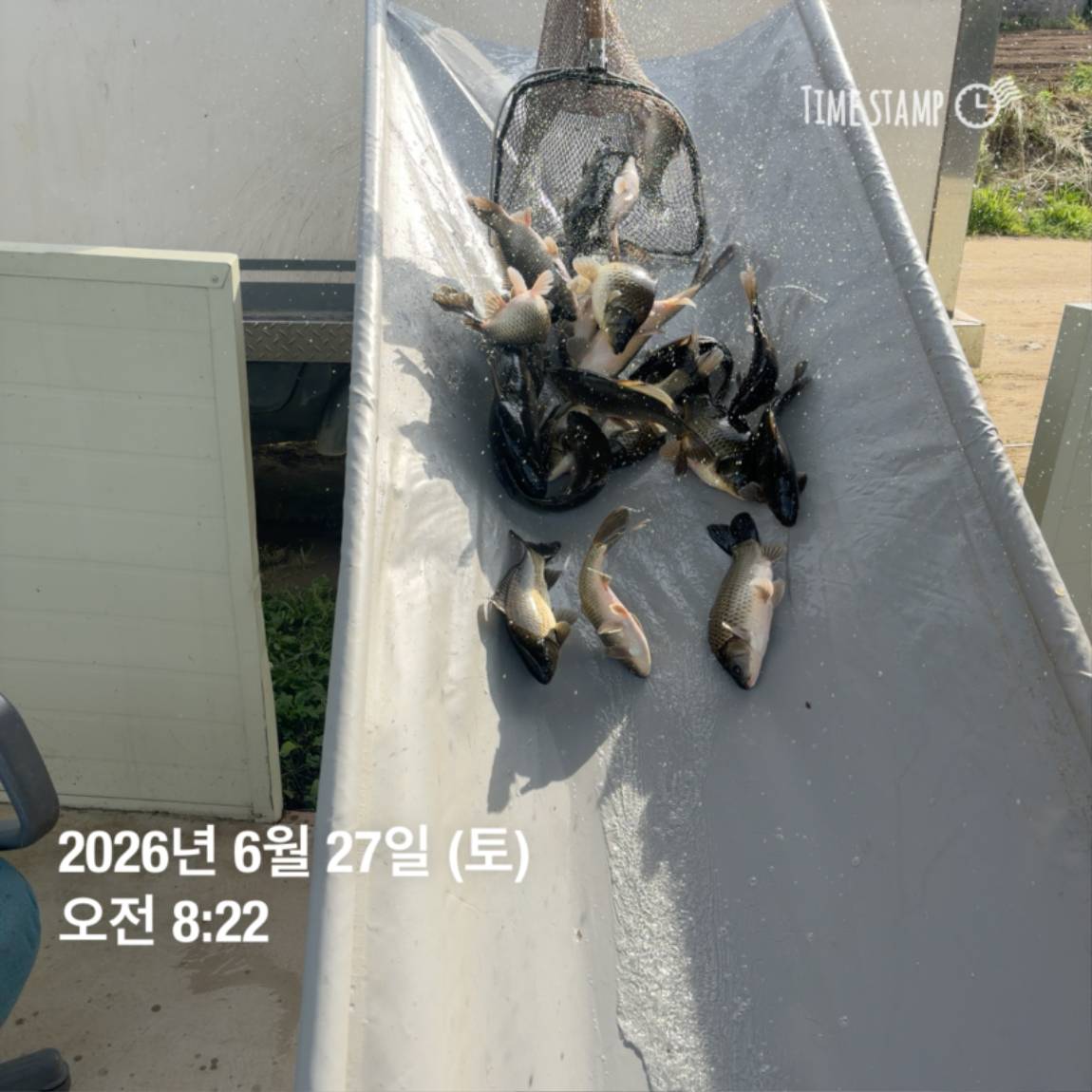 KakaoTalk_20260629_091837445_16.jpg