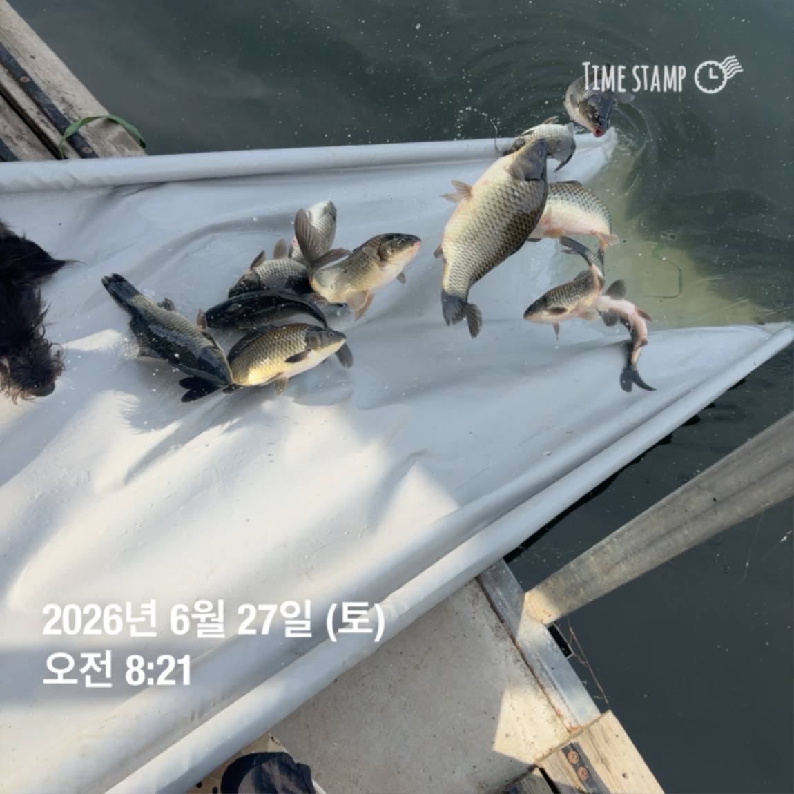 KakaoTalk_20260629_091837445_14.jpg