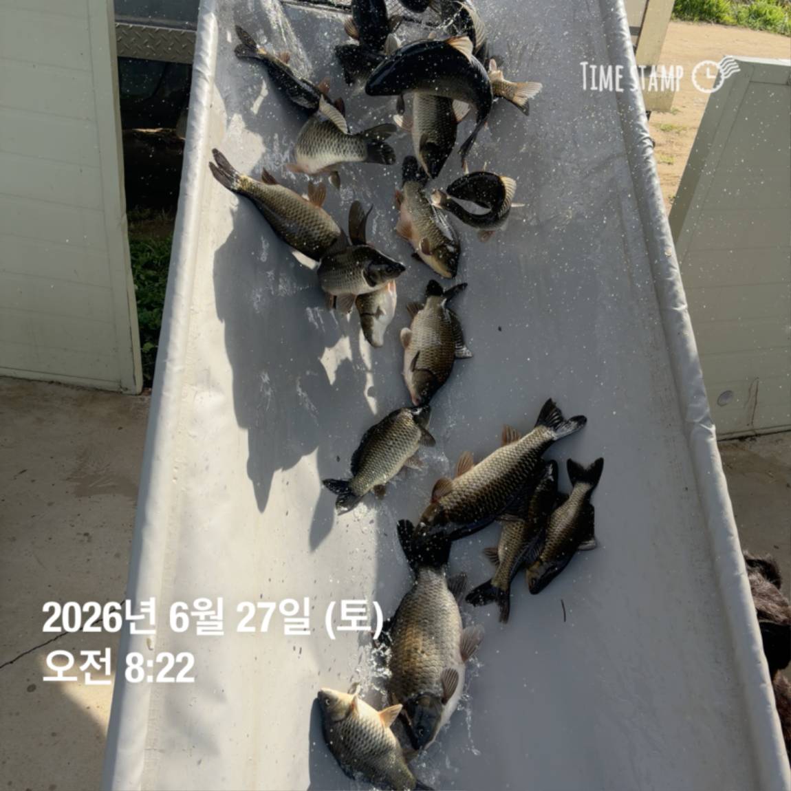 KakaoTalk_20260629_091837445_19.jpg