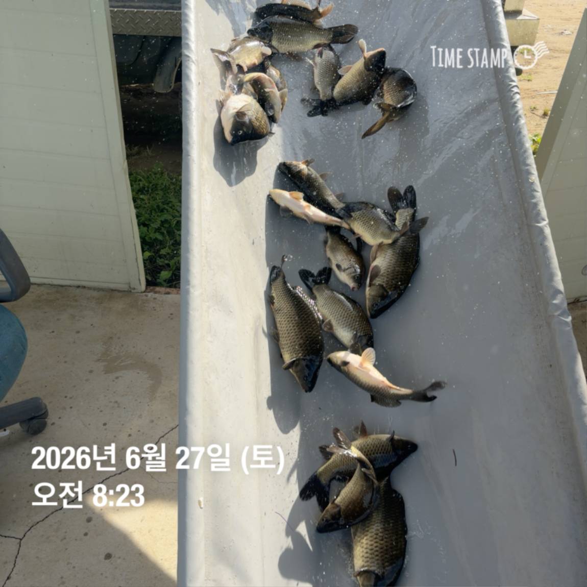 KakaoTalk_20260629_091837445_22.jpg