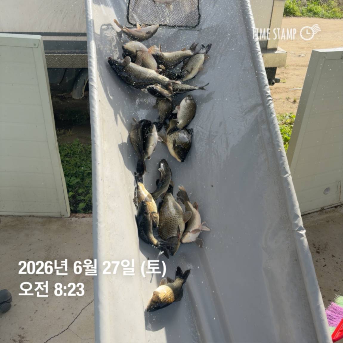 KakaoTalk_20260629_091837445_25.jpg