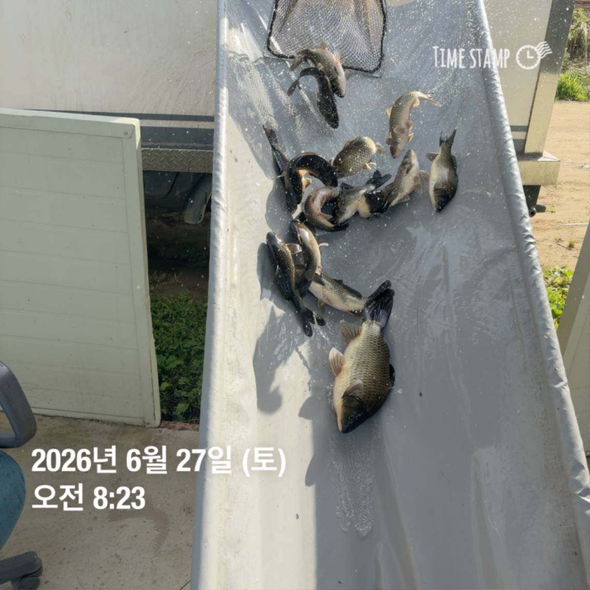 KakaoTalk_20260629_091837445_26.jpg