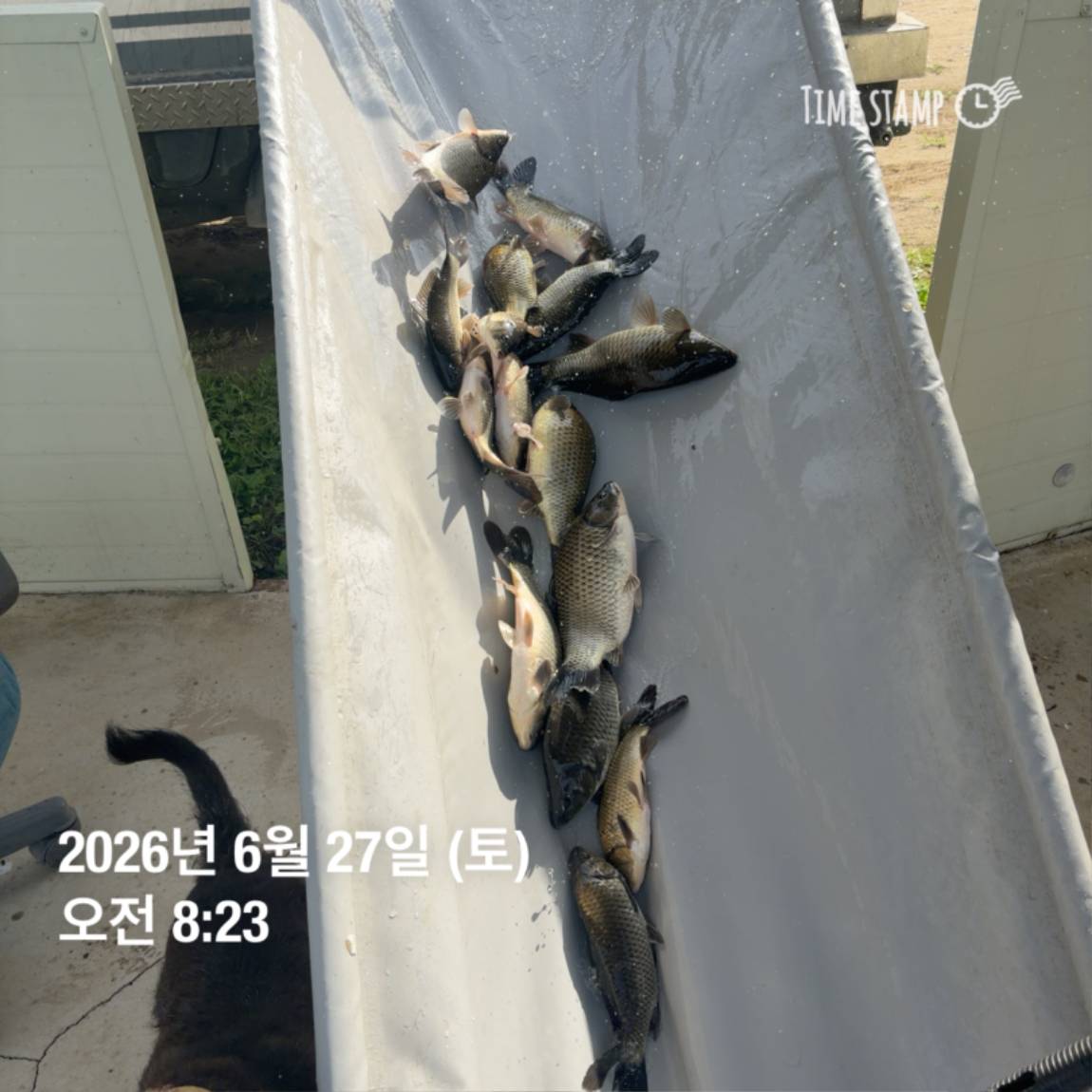 KakaoTalk_20260629_091837445_28.jpg