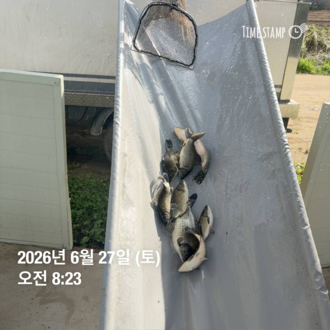 KakaoTalk_20260629_091844892.jpg