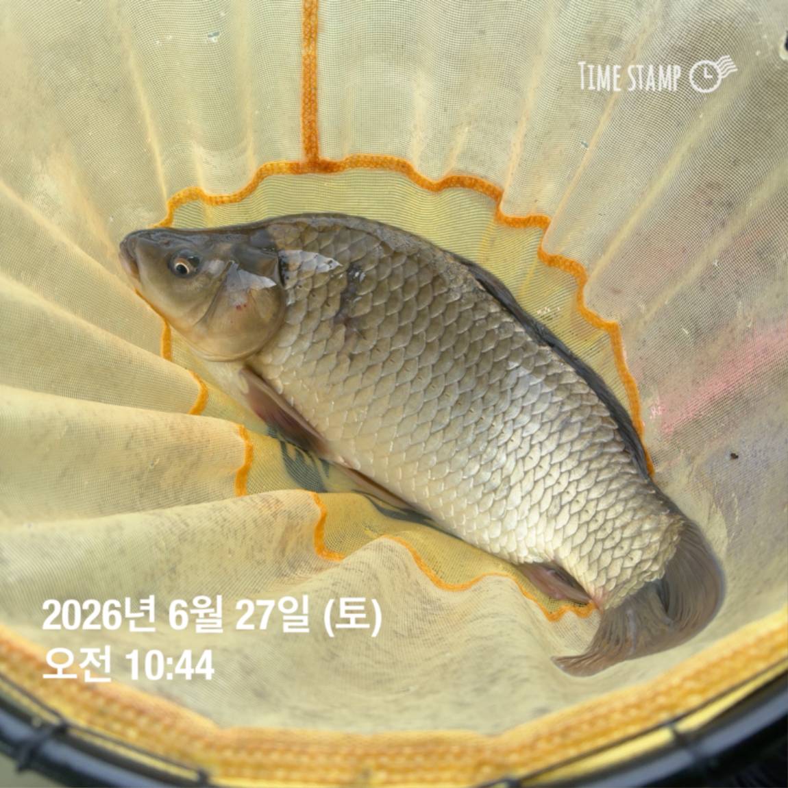 KakaoTalk_20260629_091844892_13.jpg
