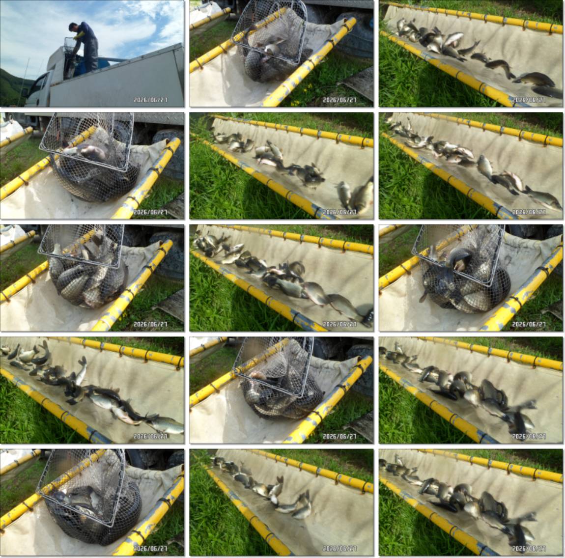 SAM_6113-tile.jpg