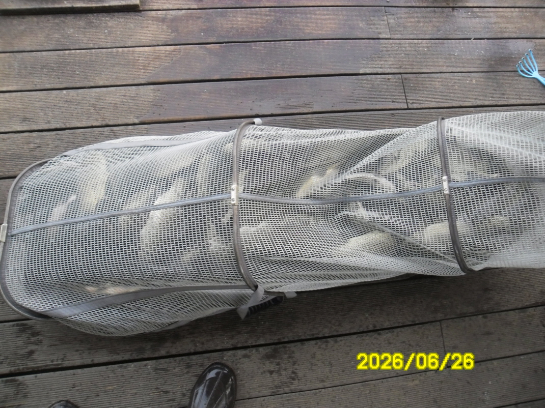 SAM_0802.JPG