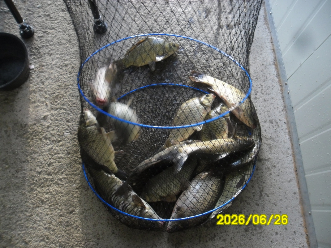 SAM_0810.JPG