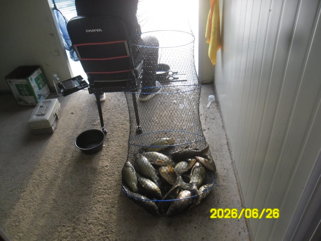 SAM_0808.JPG
