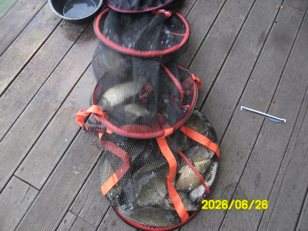 SAM_0807.JPG