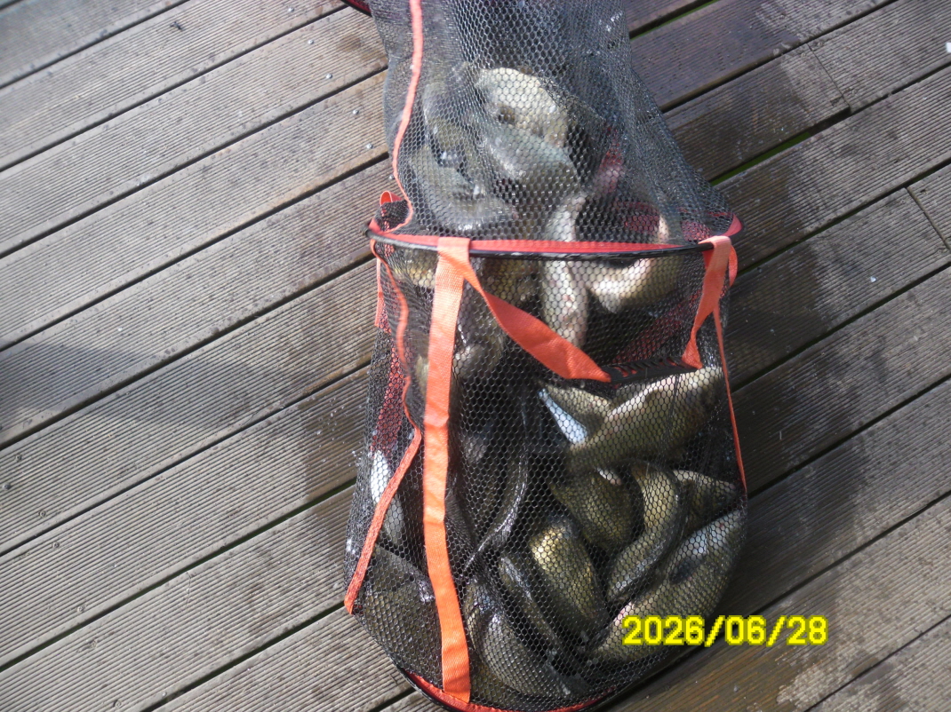 SAM_0825.JPG
