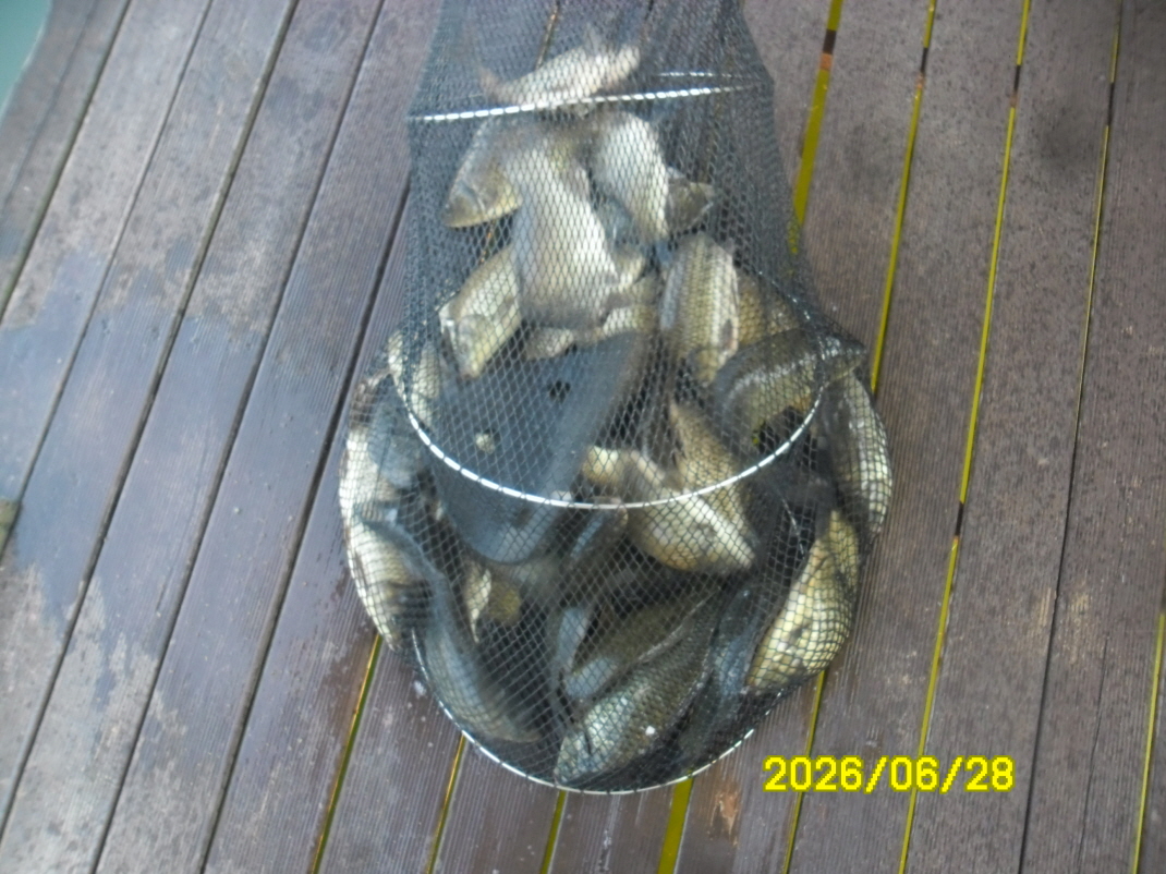 SAM_0857.JPG