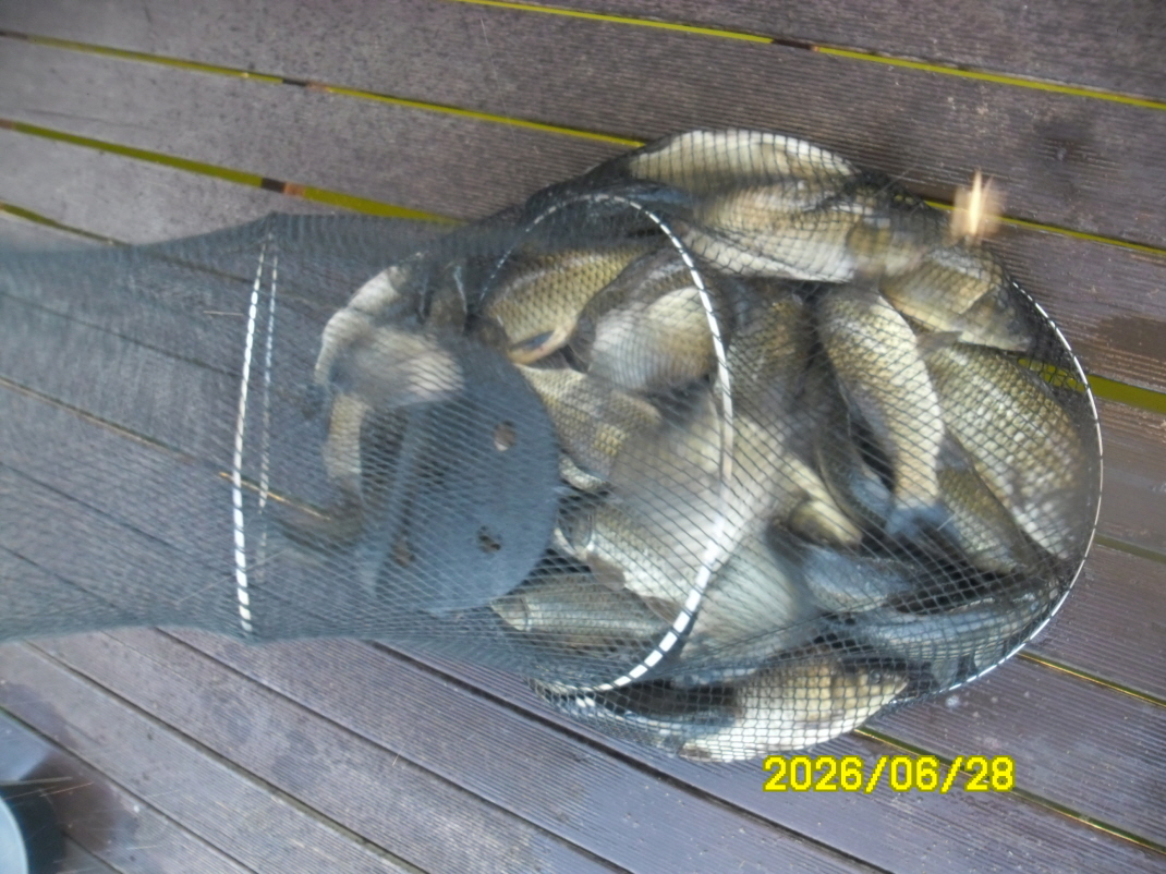 SAM_0858.JPG