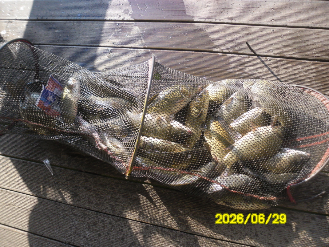 SAM_0874.JPG