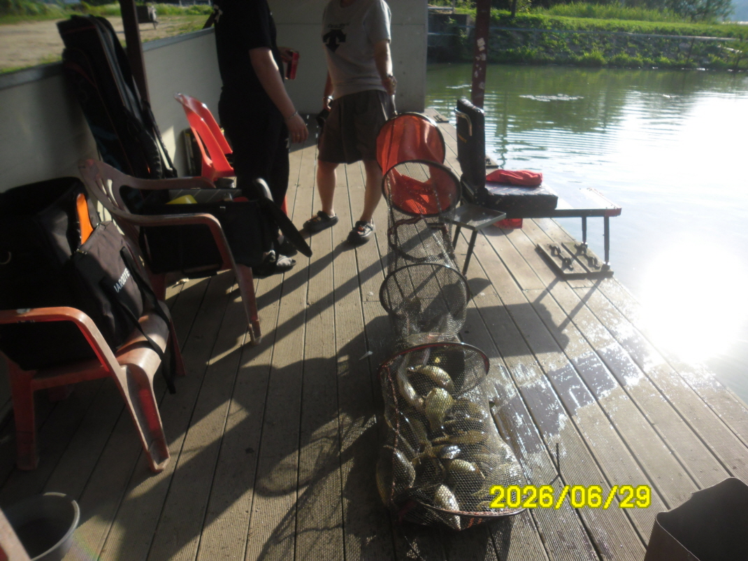 SAM_0873.JPG