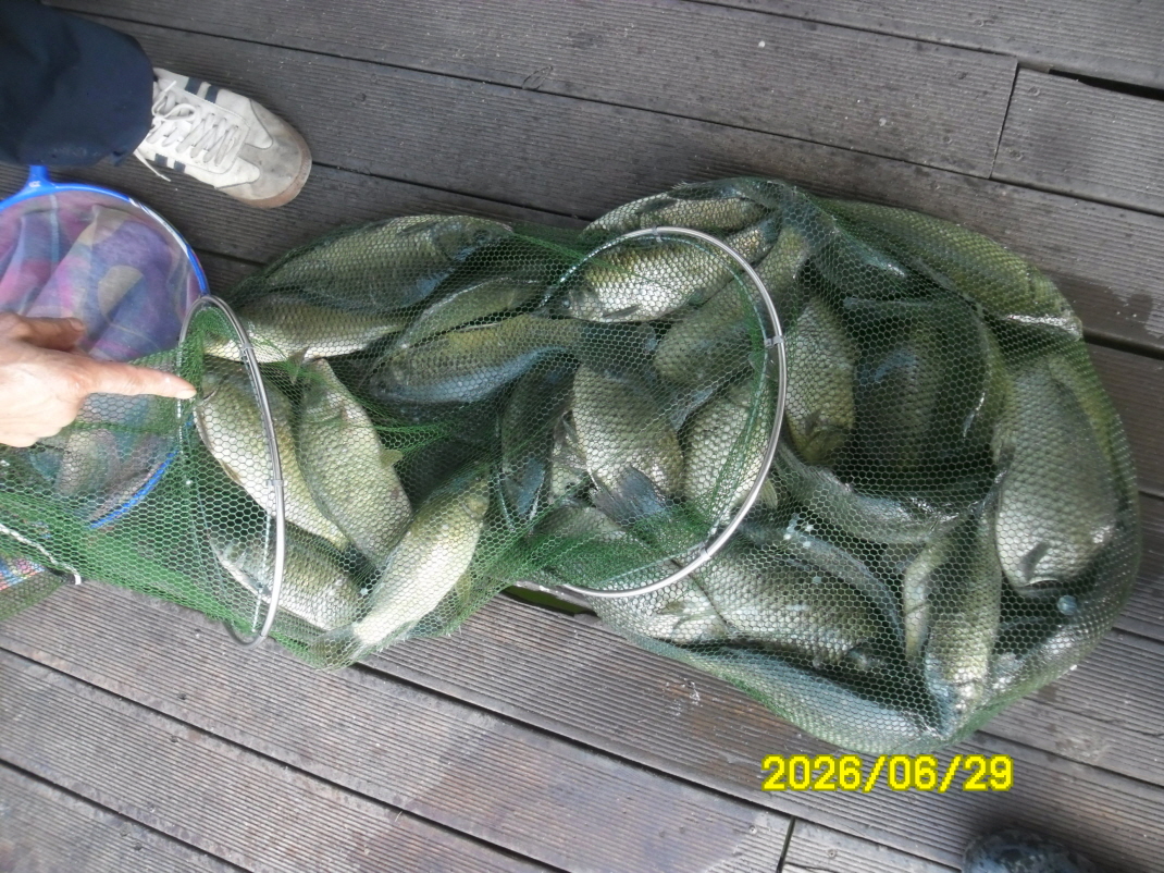 SAM_0871.JPG