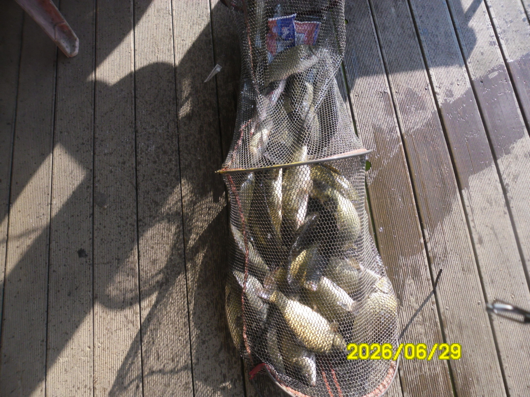SAM_0875.JPG