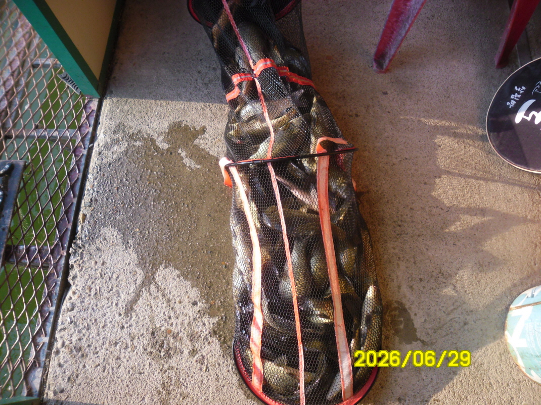 SAM_0878.JPG