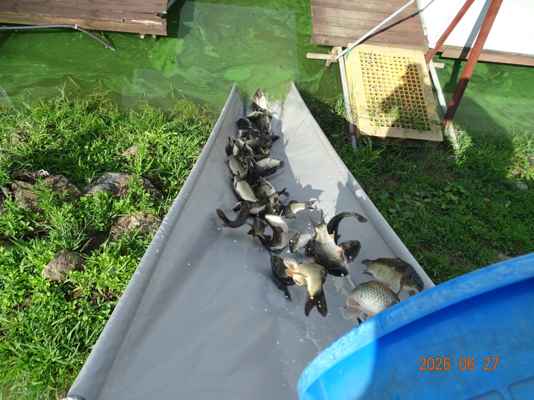 DSC05456.JPG