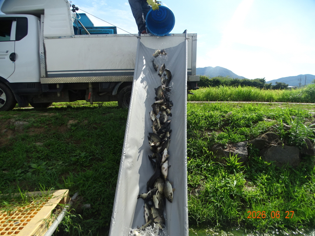 DSC05463.JPG