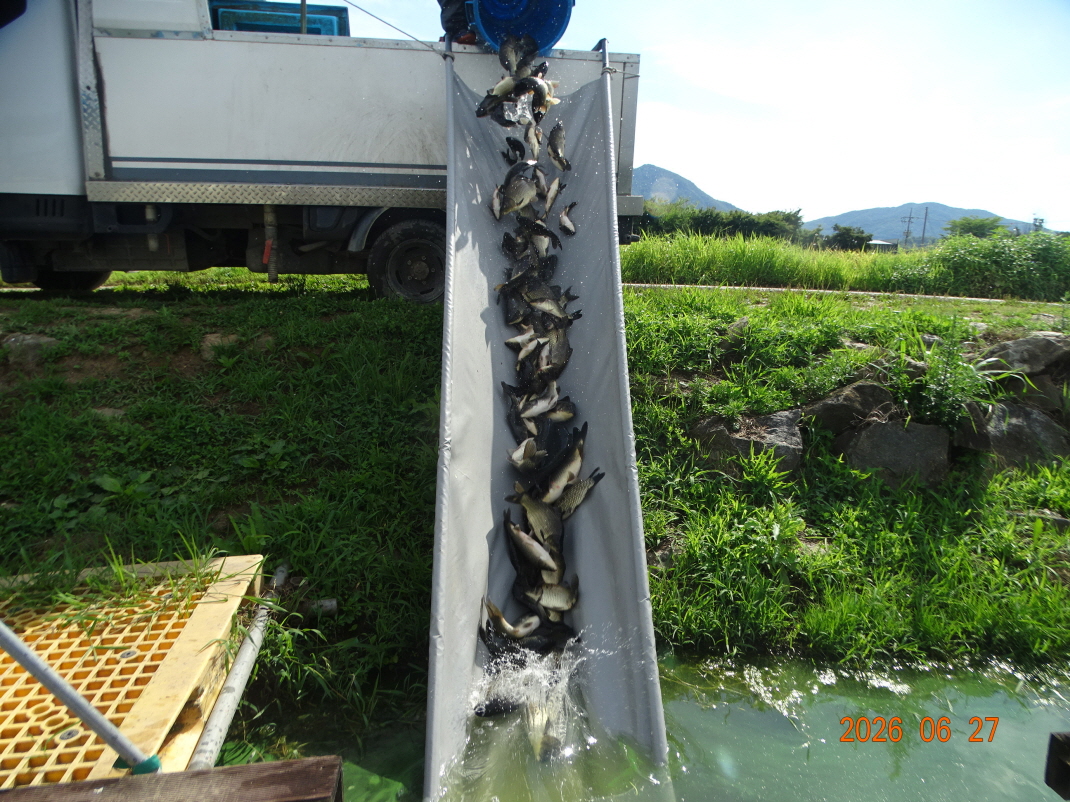 DSC05469.JPG