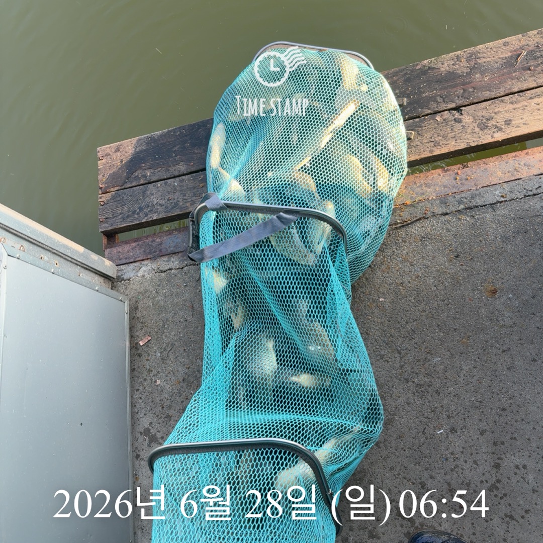 KakaoTalk_20260630_074515331_15.jpg