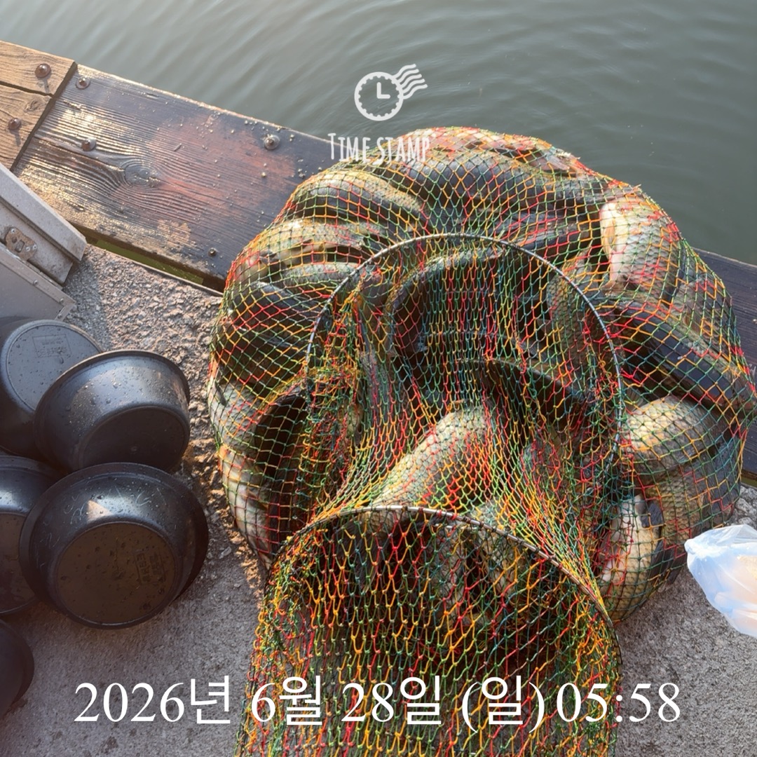 KakaoTalk_20260630_074515331_17.jpg
