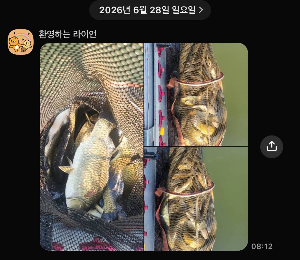 KakaoTalk_20260630_074515331_12.jpg
