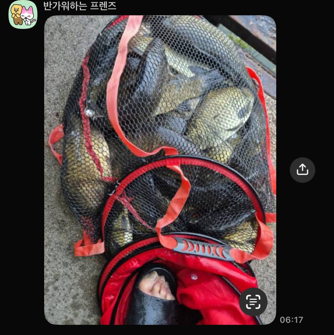 KakaoTalk_20260630_074515331_14.jpg