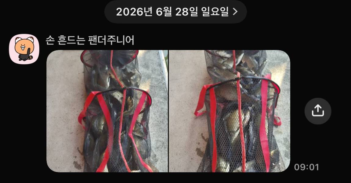 KakaoTalk_20260630_074515331_11.jpg