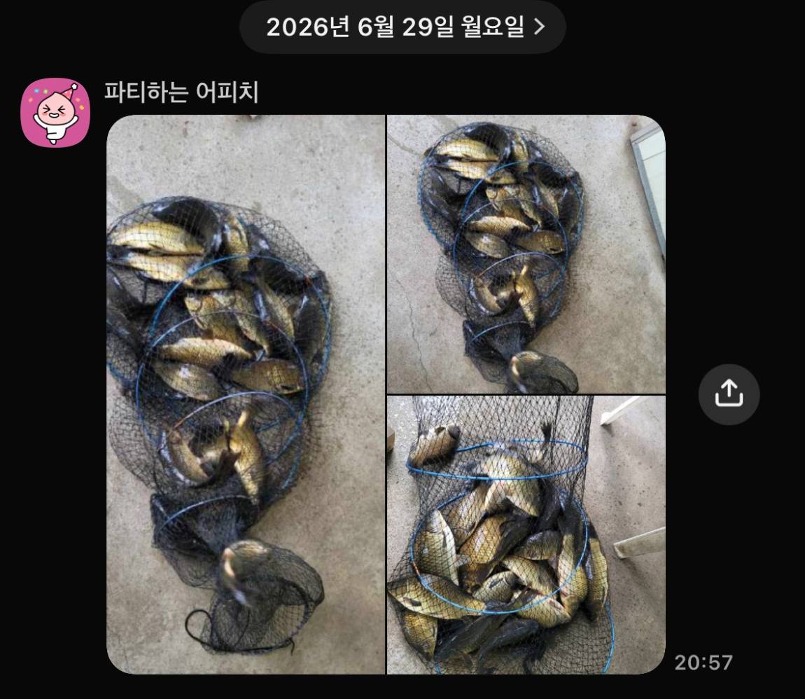 KakaoTalk_20260630_074515331_05.jpg