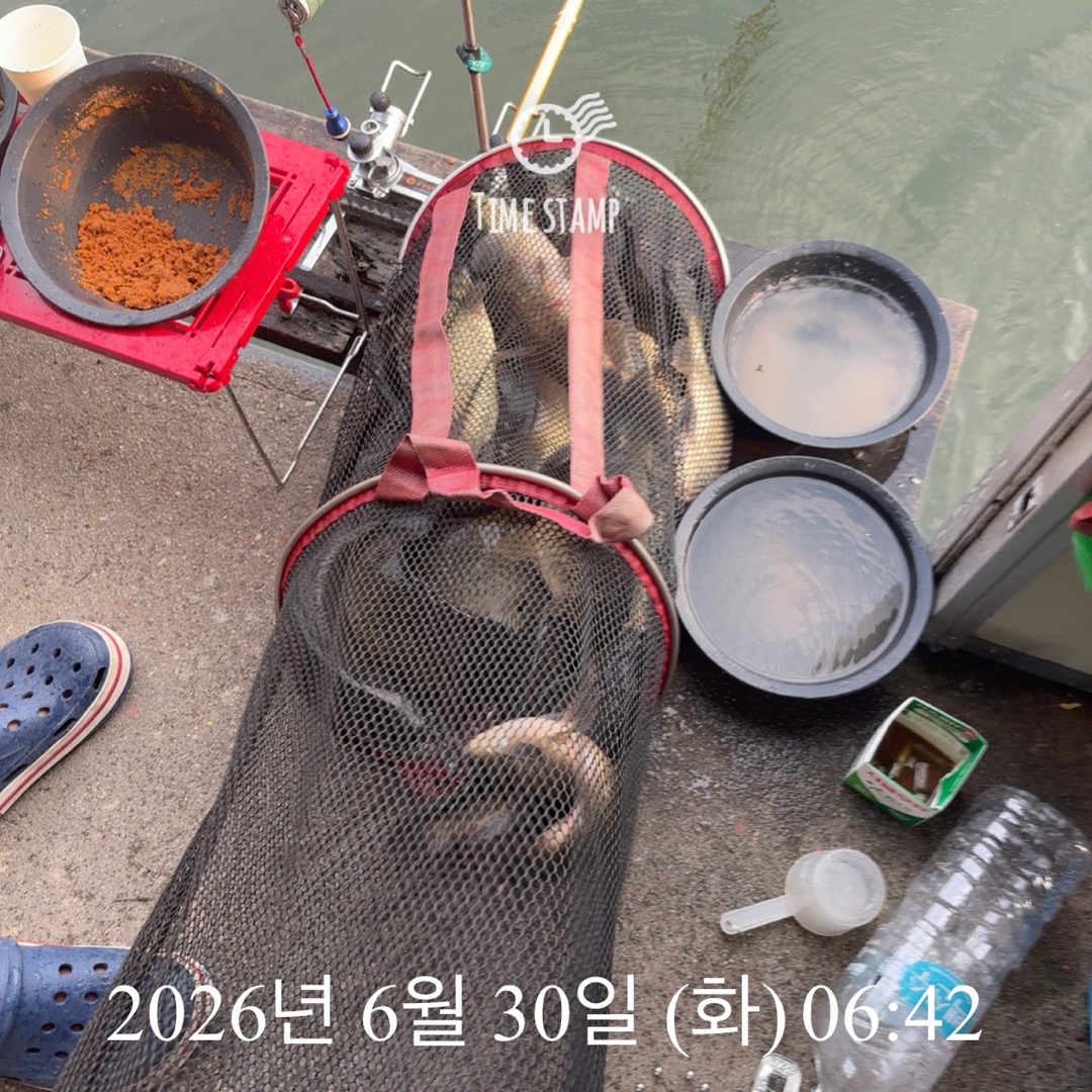KakaoTalk_20260630_074515331.jpg