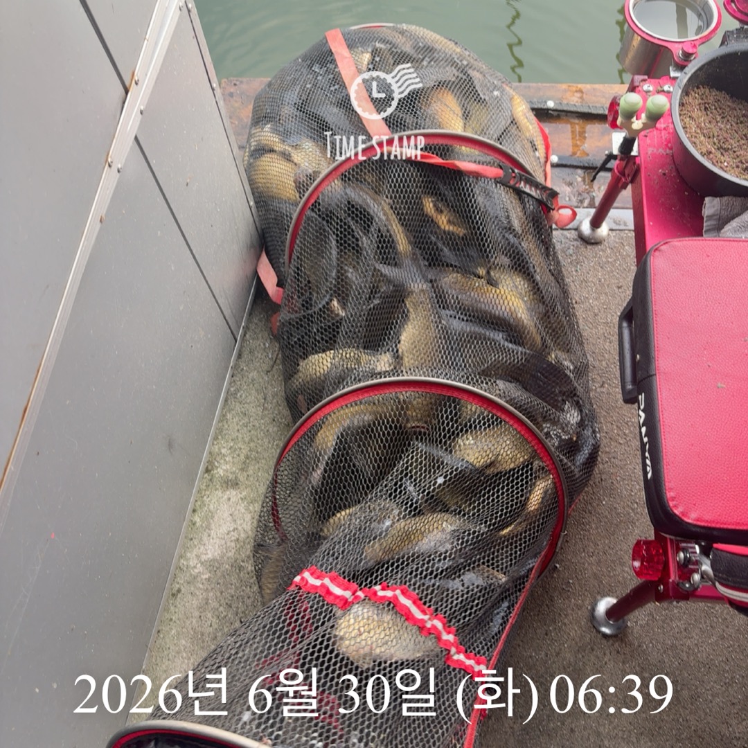 KakaoTalk_20260630_074515331_02.jpg