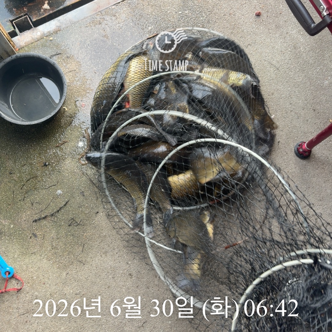 KakaoTalk_20260630_074515331_01.jpg