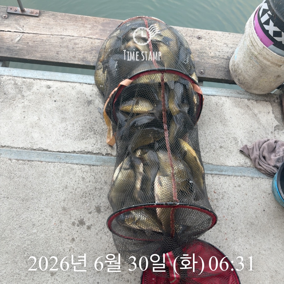 KakaoTalk_20260630_074515331_04.jpg