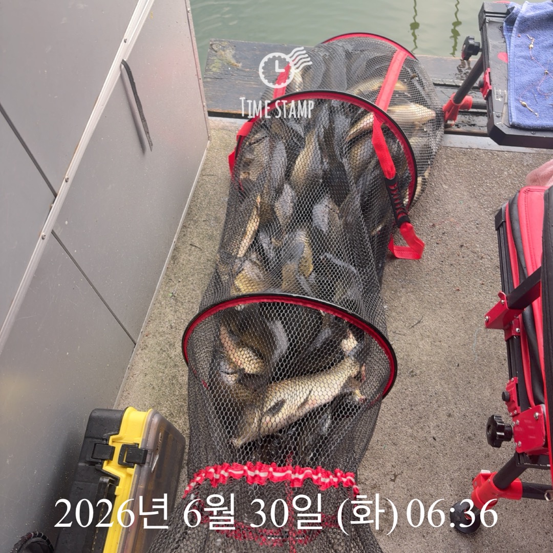 KakaoTalk_20260630_074515331_03.jpg