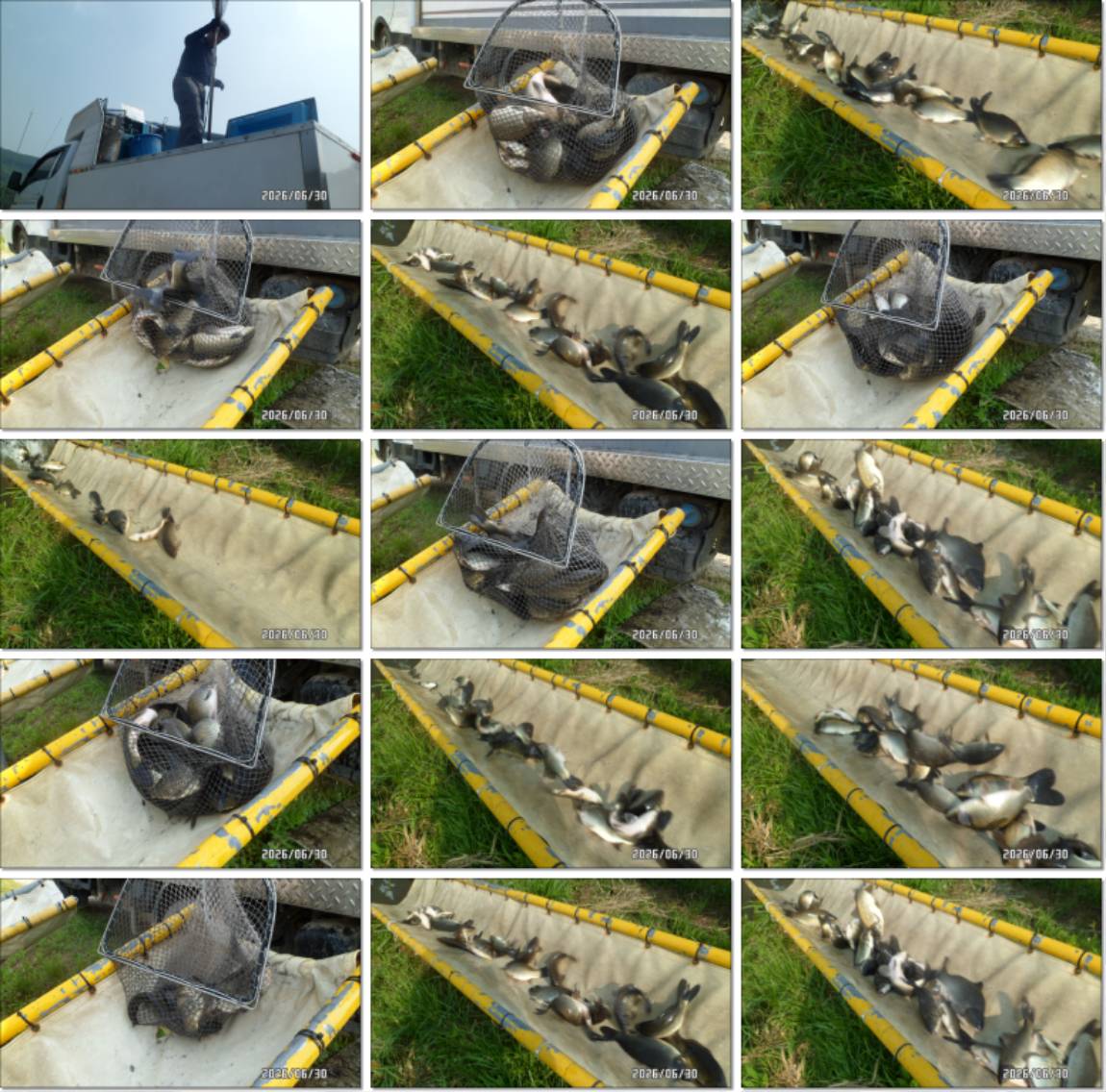 SAM_6225-tile.jpg