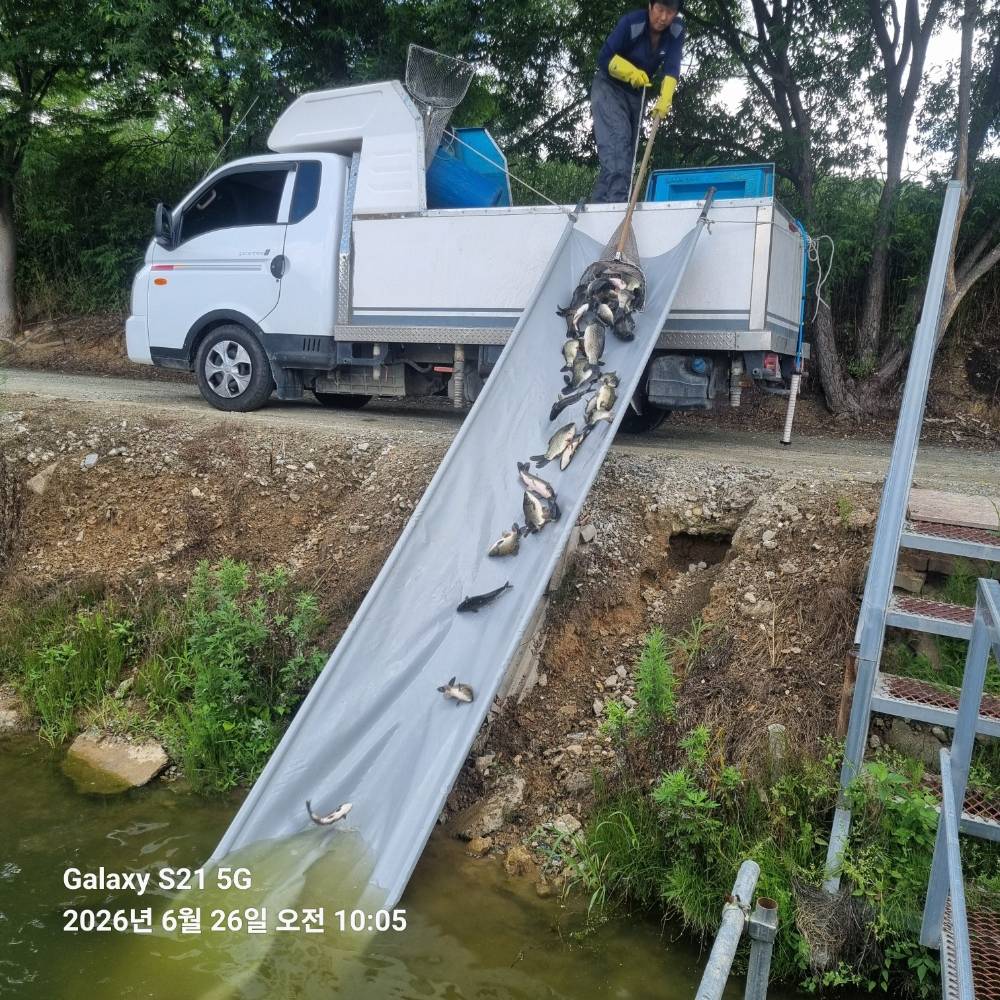 KakaoTalk_20260626_103757547_06.jpg