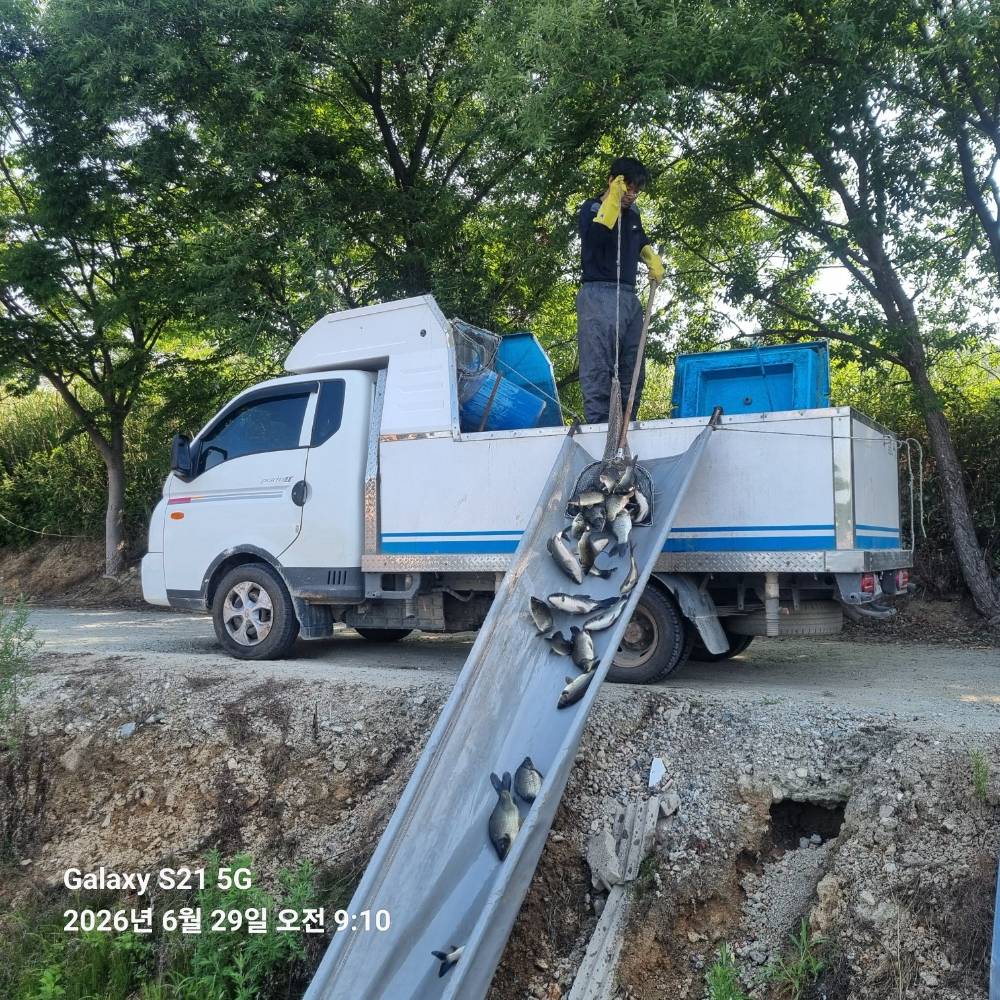 KakaoTalk_20260629_095457778.jpg