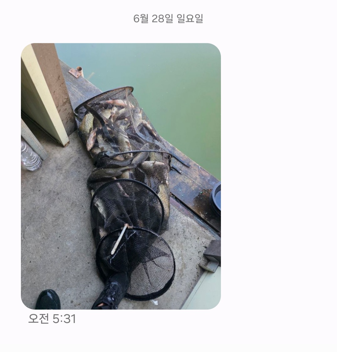 Screenshot_20260628_072359_Messages.jpg