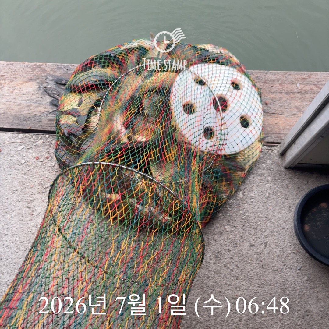 KakaoTalk_20260702_075723467_02.jpg