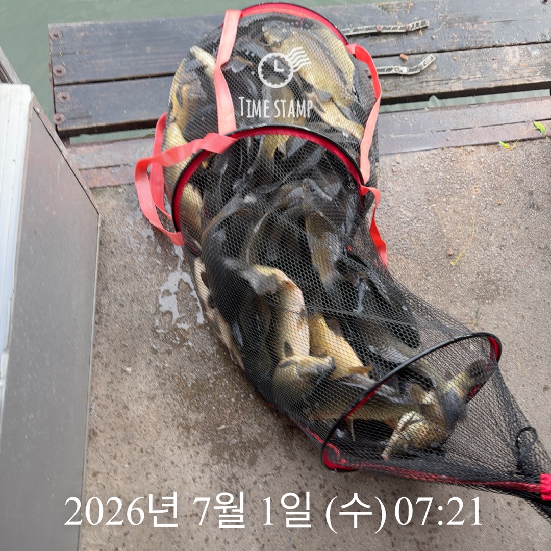 KakaoTalk_20260702_075723467_01.jpg
