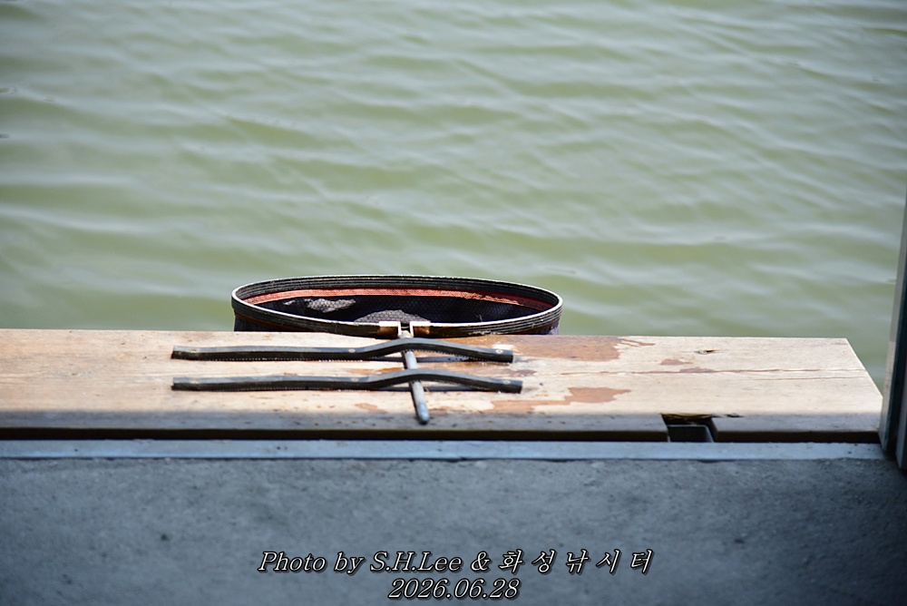 LEE_5786.JPG