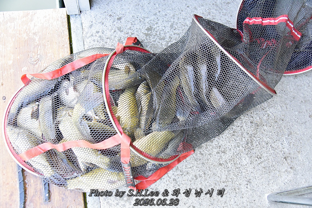 LEE_5750.JPG