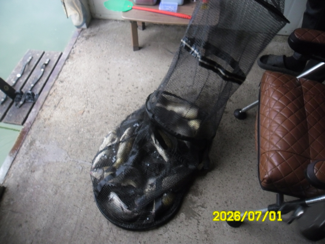 SAM_0892.JPG
