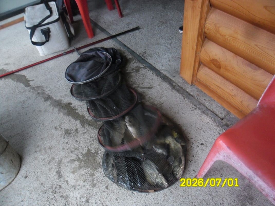 SAM_0900.JPG