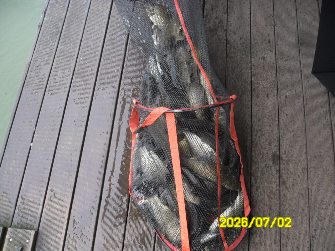 SAM_0908.JPG