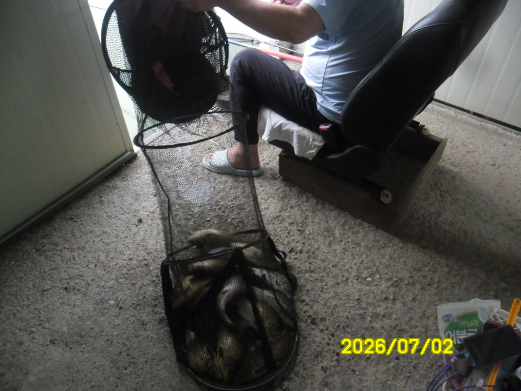 SAM_0912.JPG