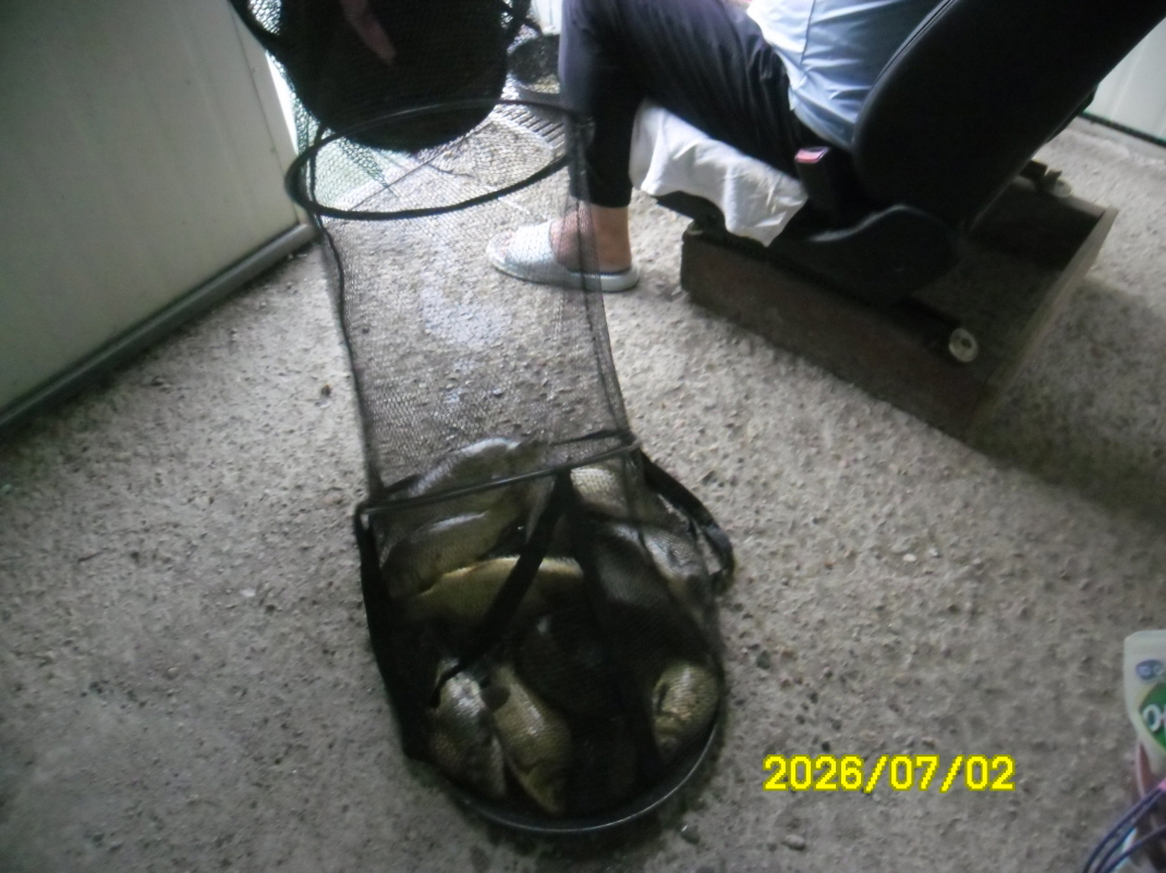 SAM_0909.JPG
