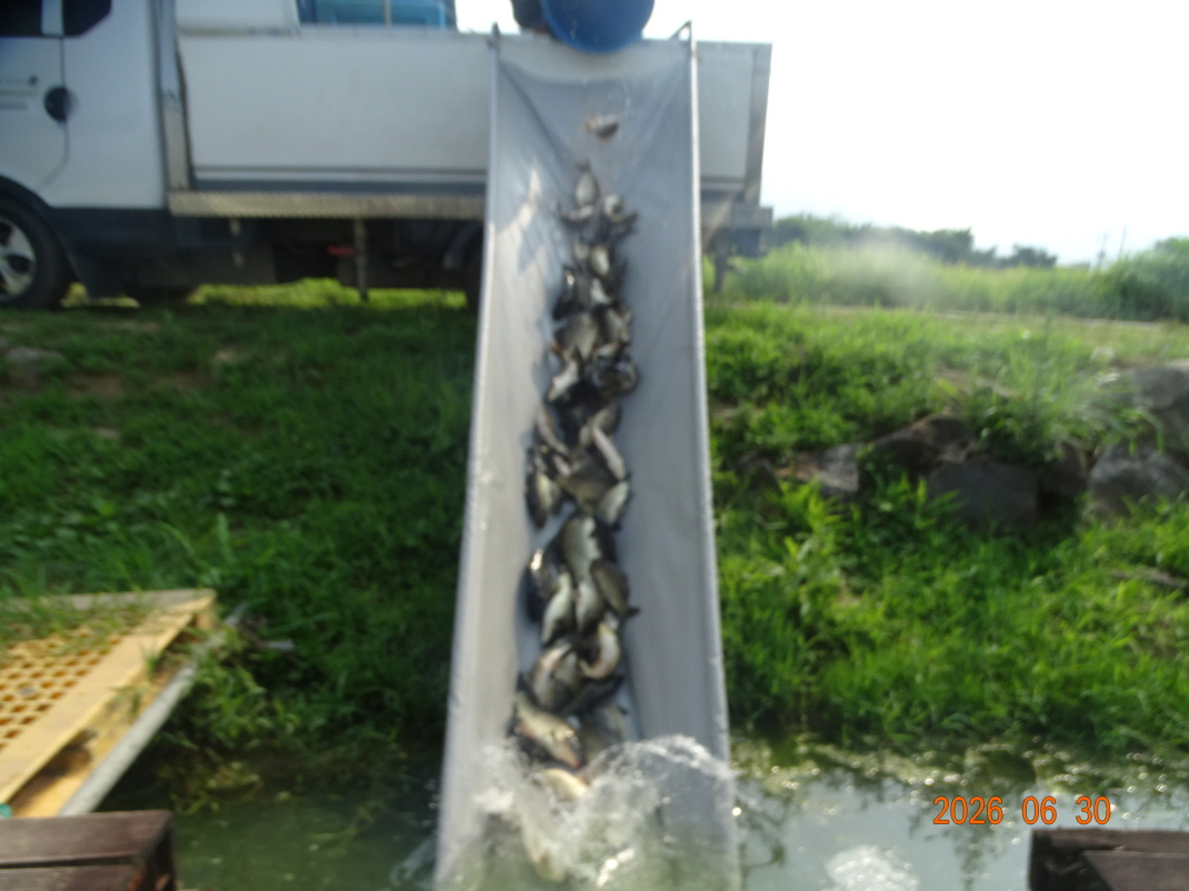 DSC05626.JPG